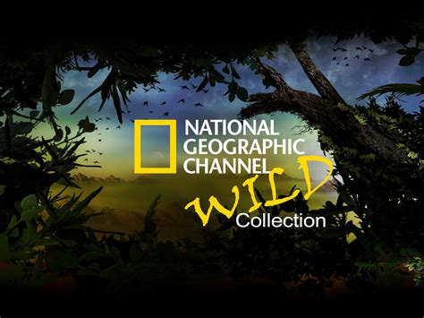 national geographic wild chanel|geographic wild documentary live.